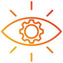 vision